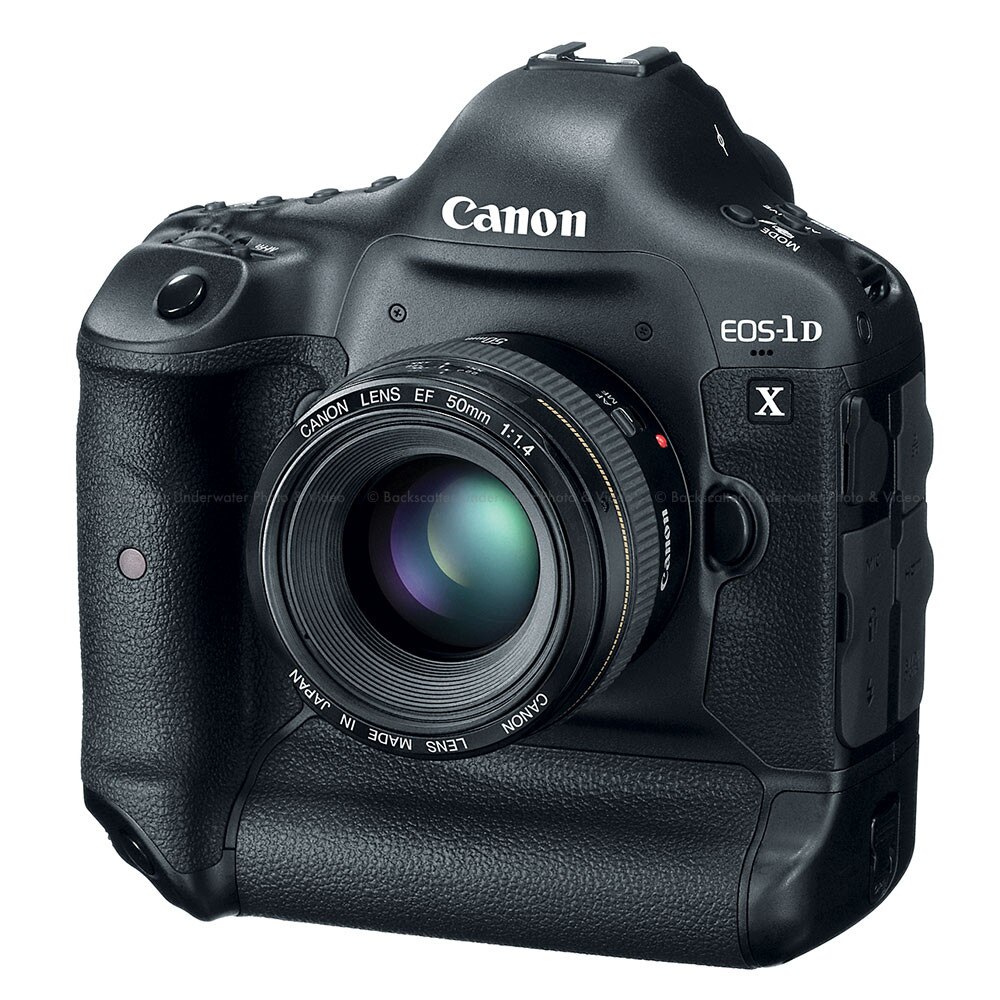  Canon EOS 1DX  DSLR Pro Camera Body