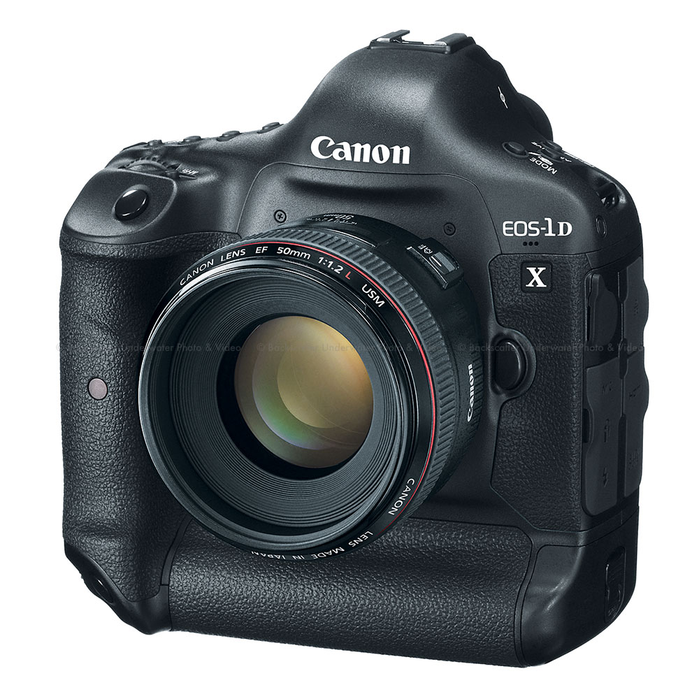 Canon EOS 1DX DSLR Pro Camera Body