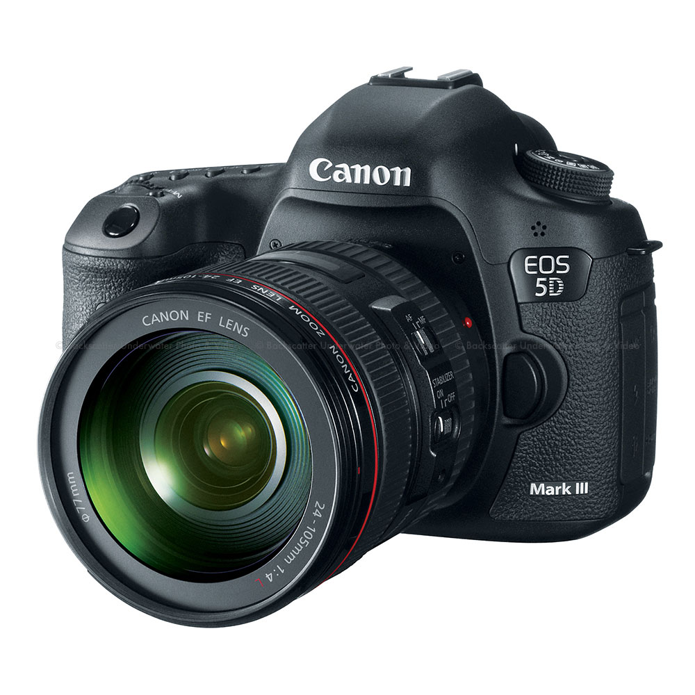 Canon 5D Mark Camera Body