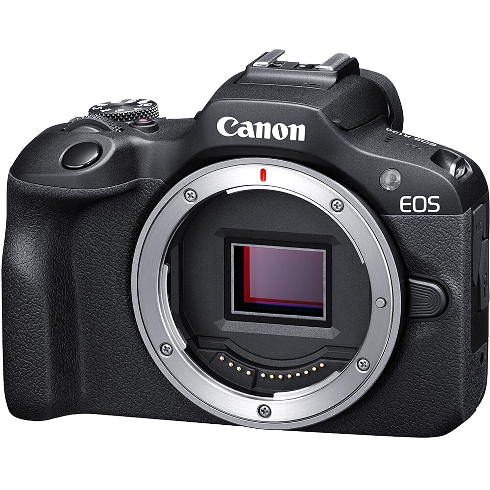 Canon mirrorless cheap