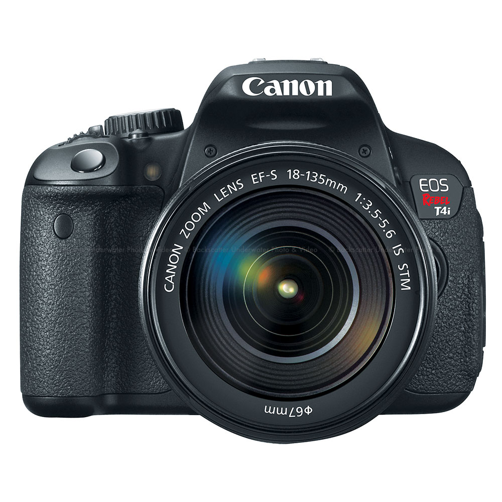 Amazon.com: Canon EOS Rebel T4i Digital Camera Memory Card 2