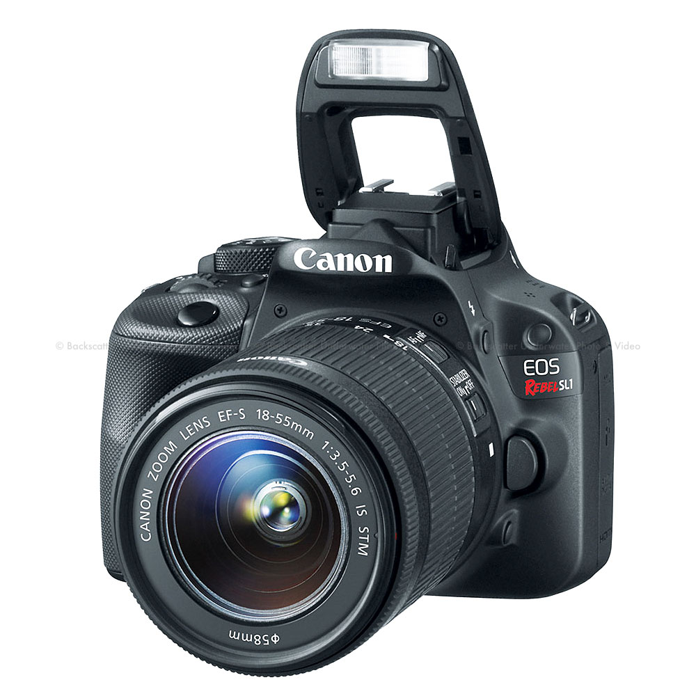 Canon EOS Rebel SL1 本体とアクセサリーセット Canon EOS Rebel SL1 18.0MP Digital SLR Camera with EF-S 18
