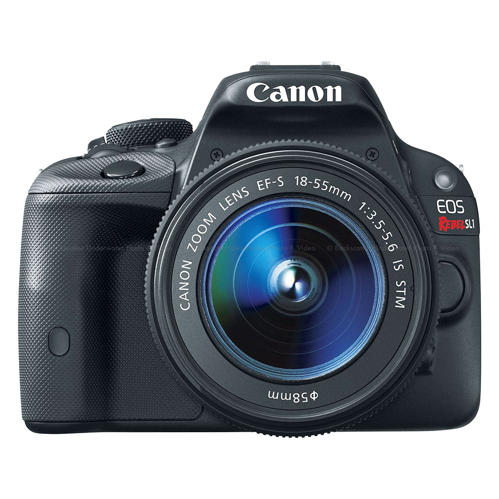 Canon EOS Rebel SL1 18-55mm IS STM Lens Kit