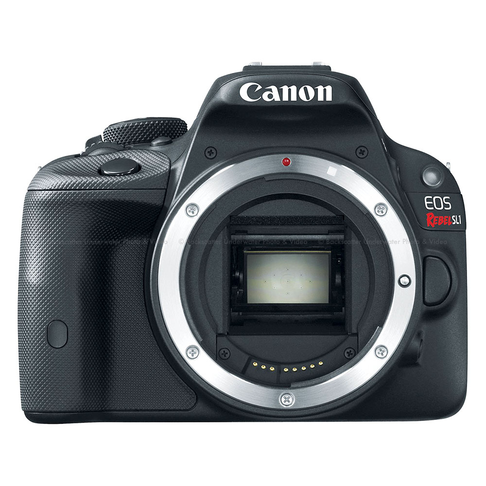 Canon EOS Rebel SL1 本体とアクセサリーセット Canon EOS Rebel SL1 18-55mm IS STM Lens Kit