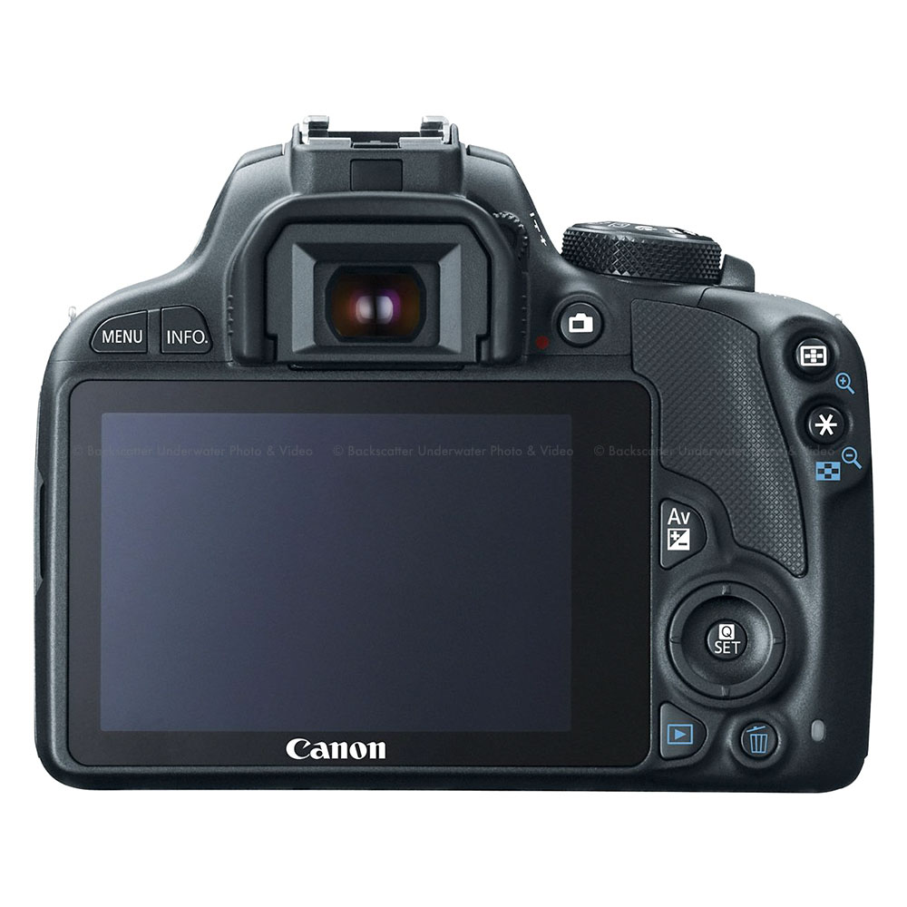 Canon EOS Rebel SL1 本体とアクセサリーセット Canon EOS Rebel SL1 本体とアクセサリーセット