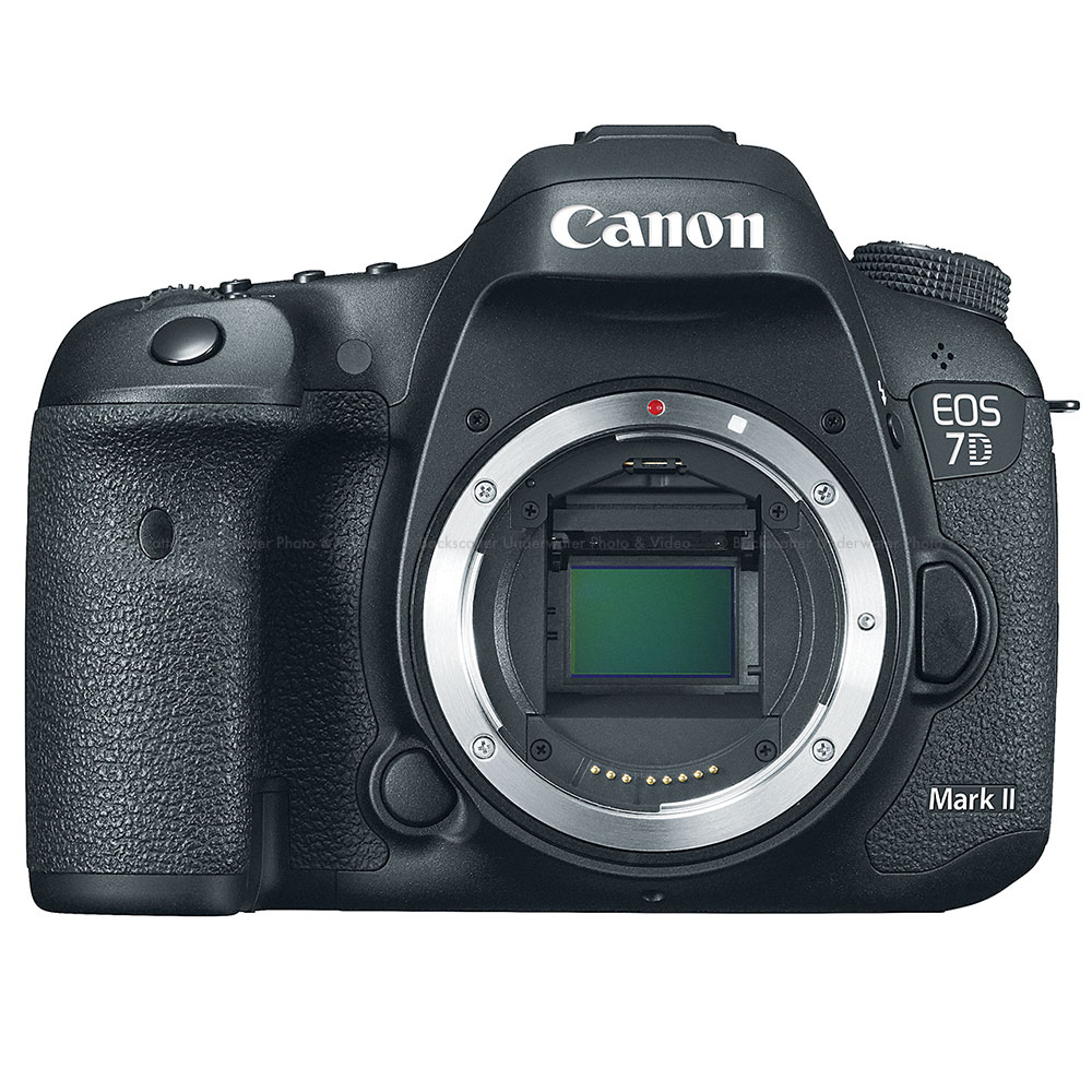 Canon EOS 7D Mark II DSLR Camera Body