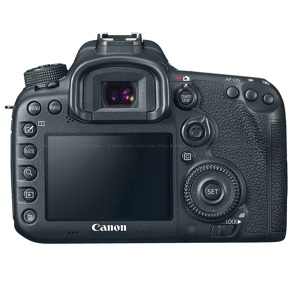 canon 7d mark 2 price