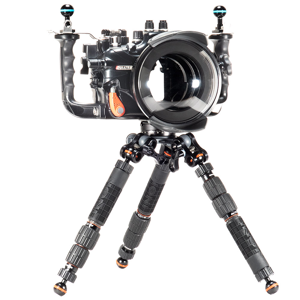 dx-006-10000-pan-arca_7.jpg?