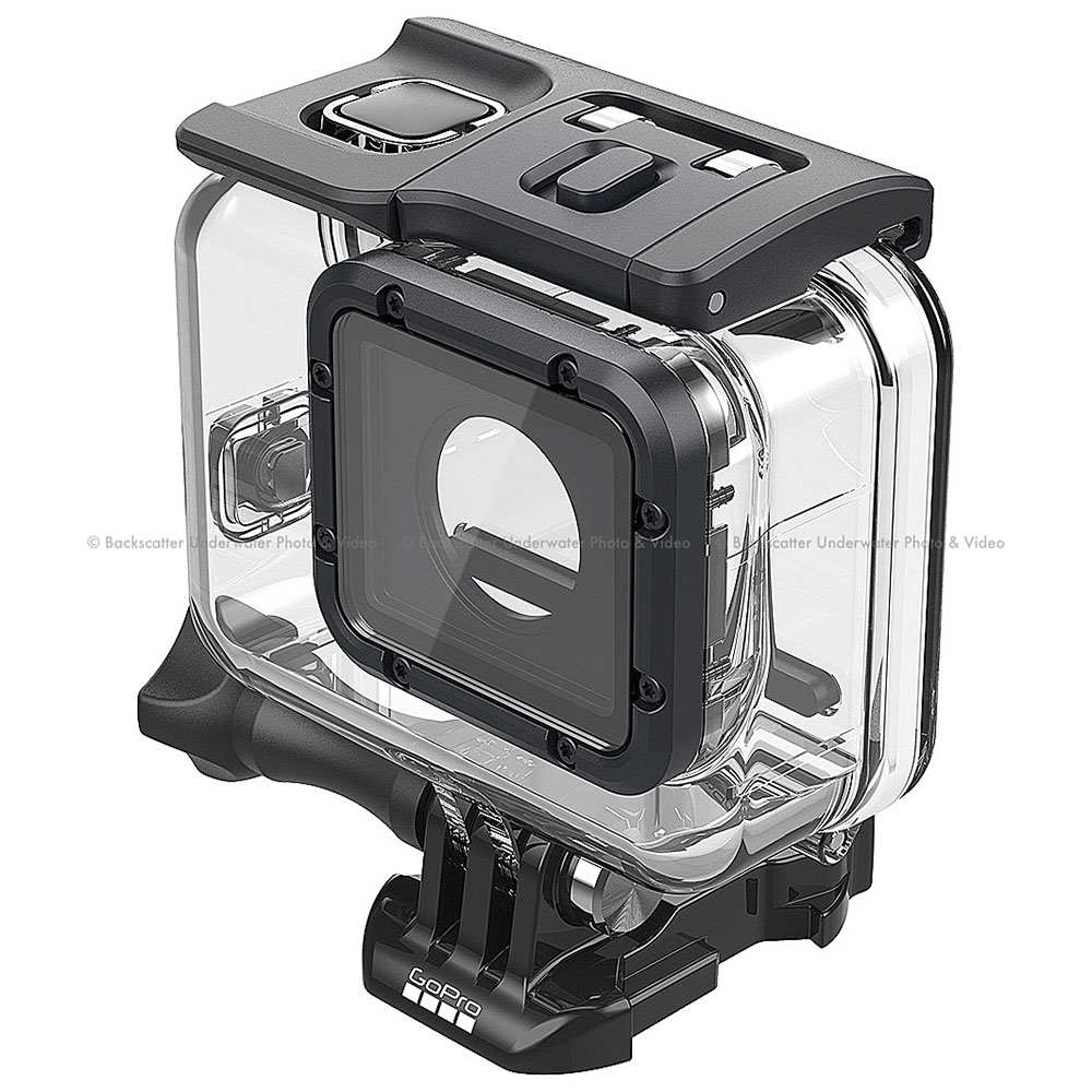 Gopro Hero 6 Vs Hero 5 Underwater Camera Review Underwater Photography Backscatter