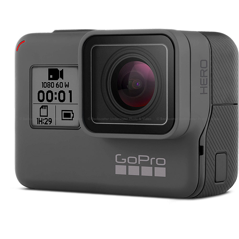 Gopro on sale video cameras