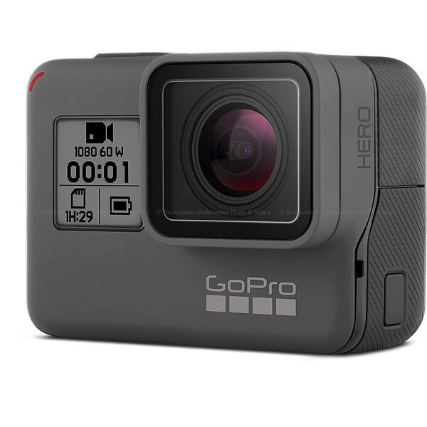 GoPro HERO Action Video Camera