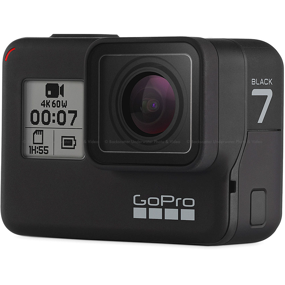 GoPro HERO7 Black Underwater Camera Review - Underwater