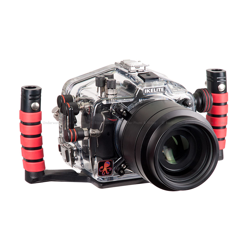tapo c100 amazon
