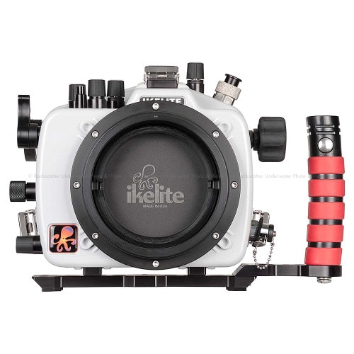 sony nex e mount cameras