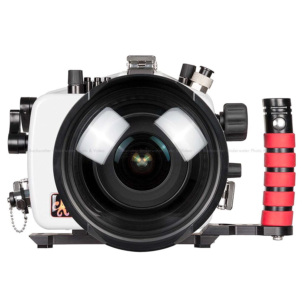 canon raw file extension