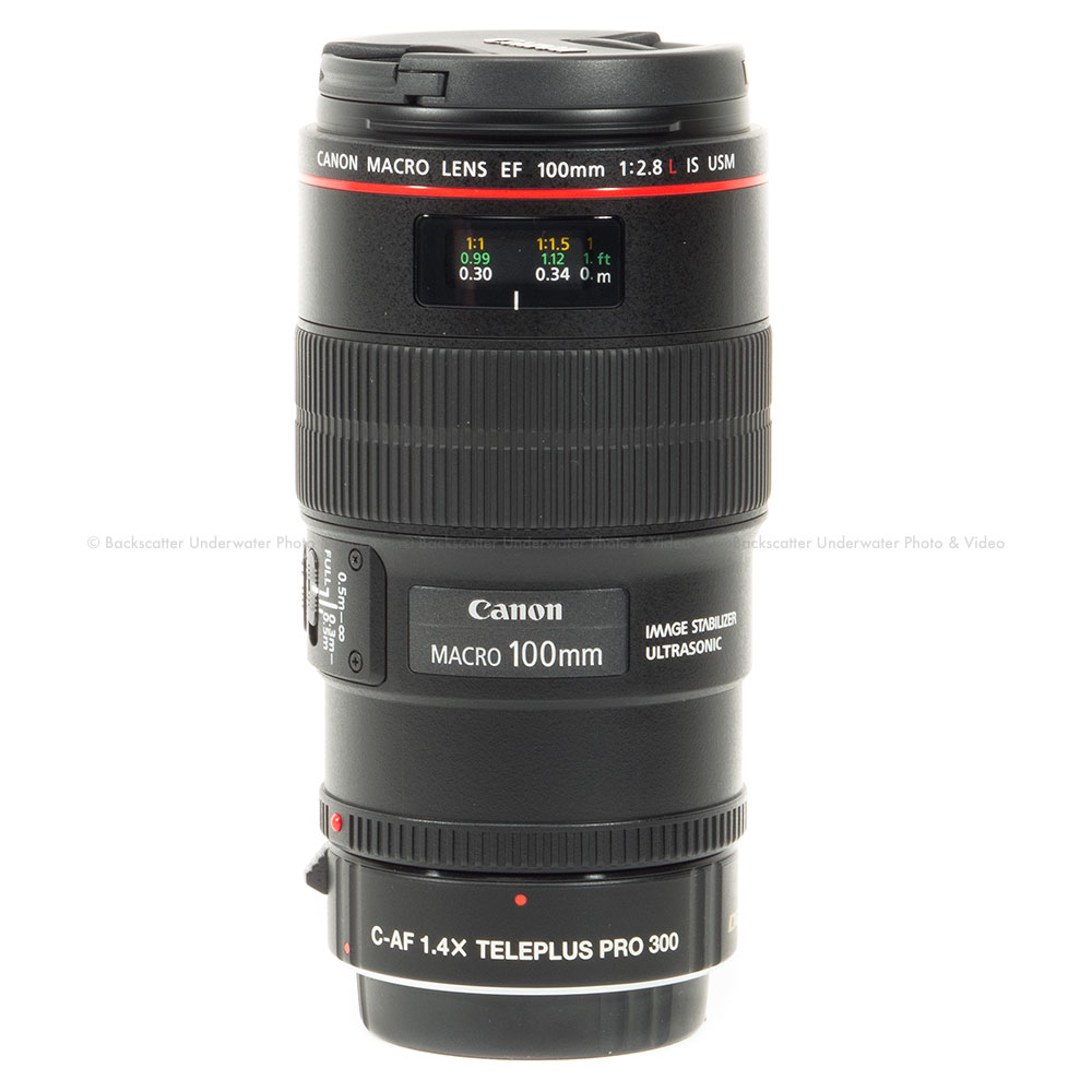 Kenko 1.4X Pro Teleconverter (Canon EOS)