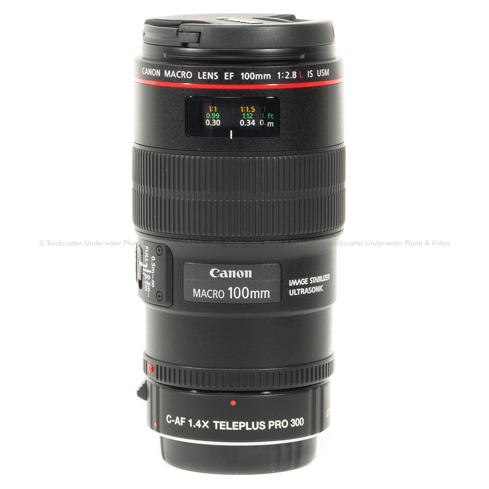 kenko 1.5 x teleconverter
