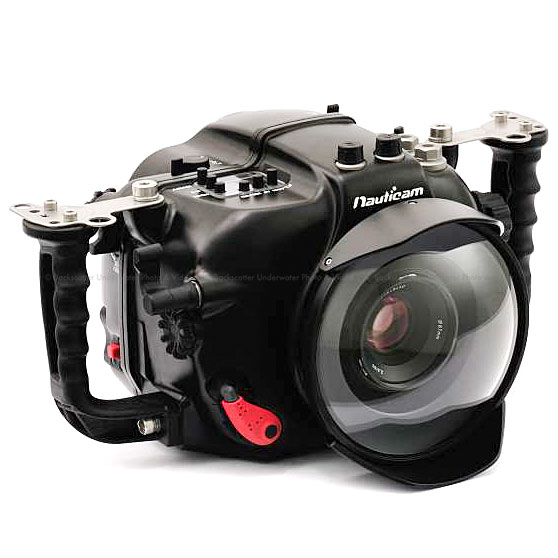 hasselblad h3d