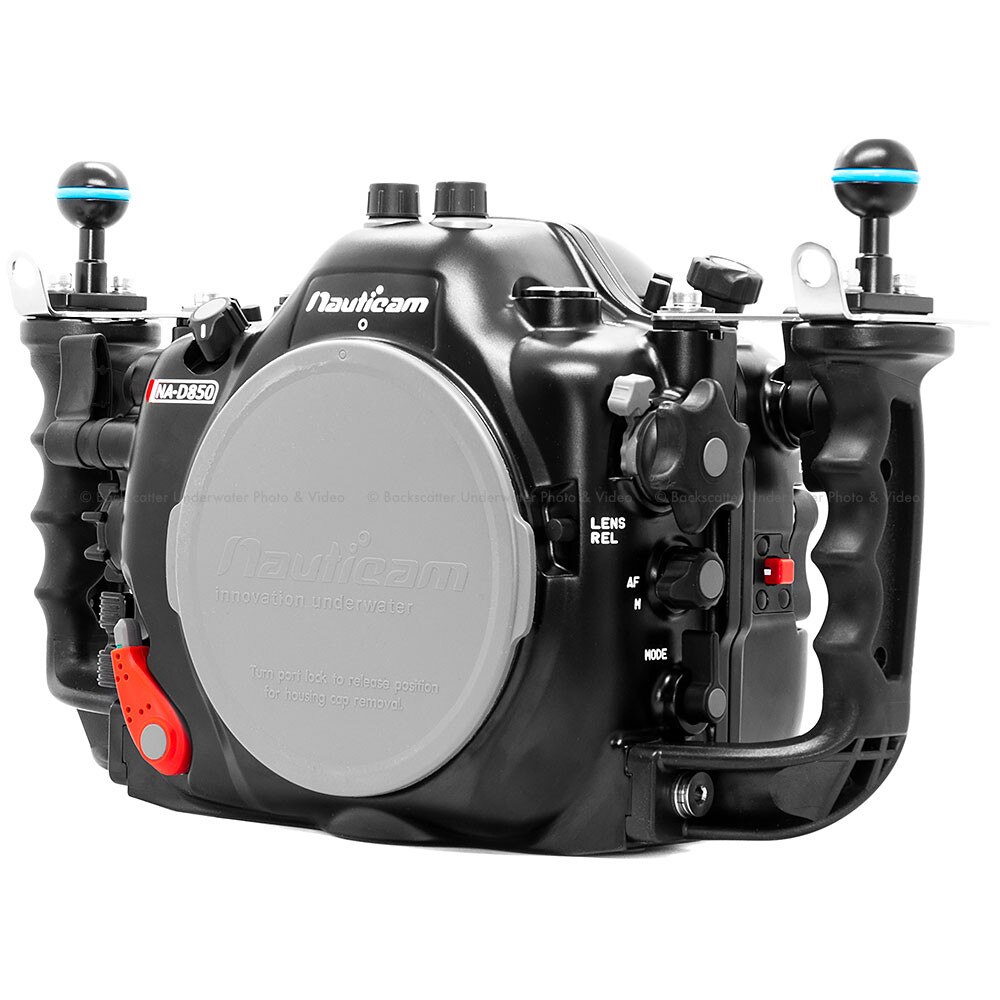 nikon d850 videos