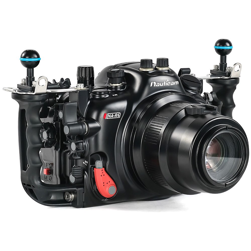 Canon Eos R5 And R6 Underwater Settings Bluewater Photo Canon Eos R5 And R6 Underwater Settings Bluewater Photo