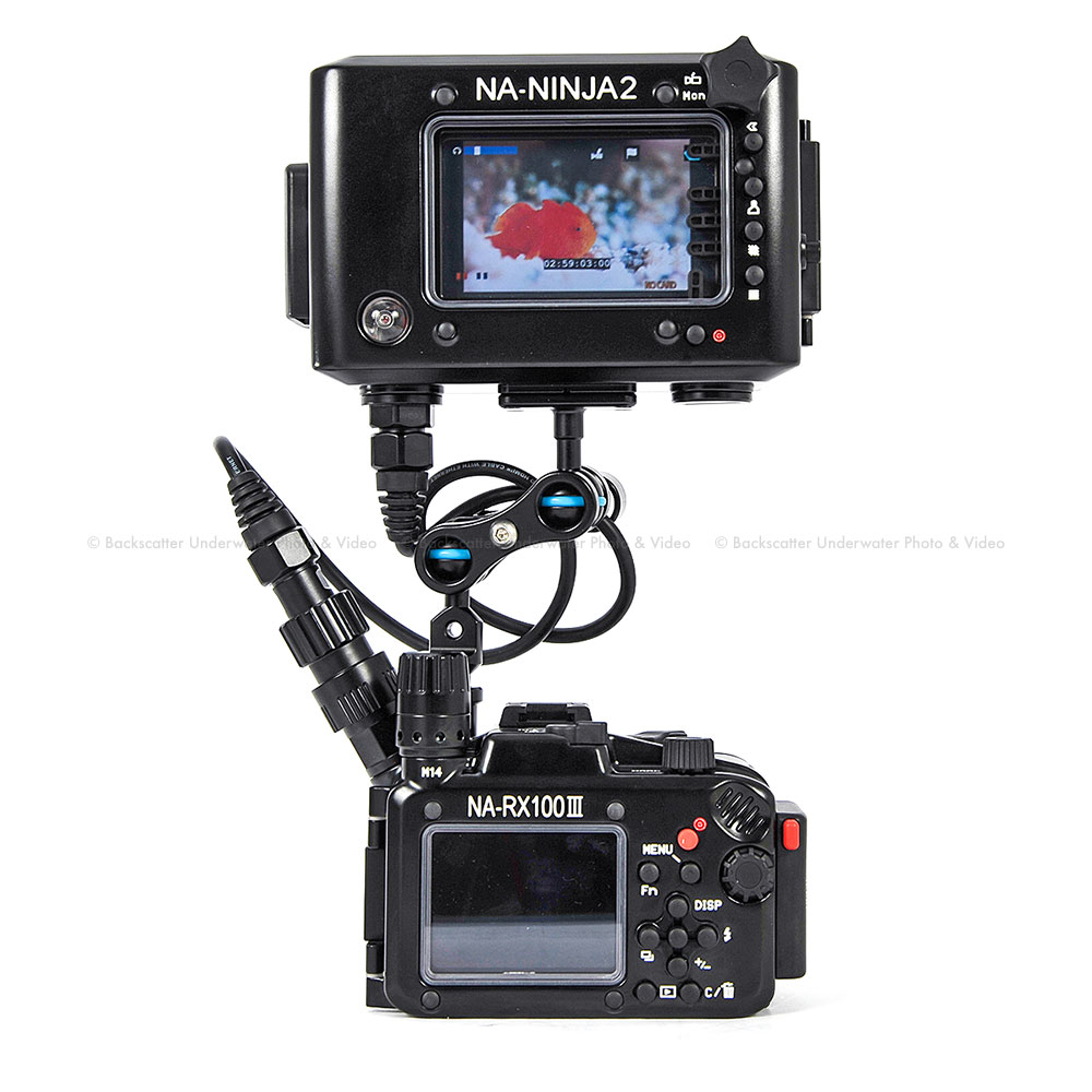 Nauticam NA-RX100ii INON UHL-H100レンズ付き Announcing Housing for Sony RX100 II – Nauticam
