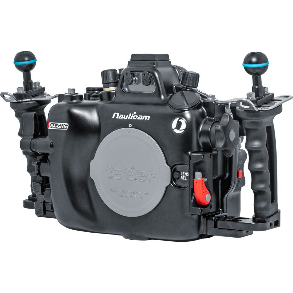 Panasonic LUMIX GH6 Mirrorless Camera Body - Backscatter