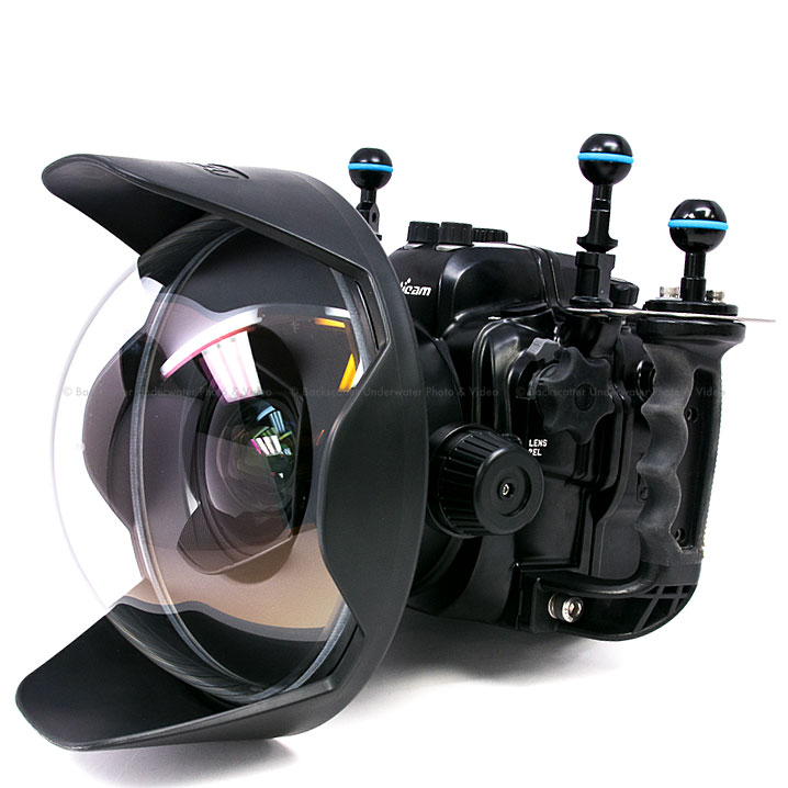 ダークブラウン 茶色 ノーティカム ガラスドームポートNA E140