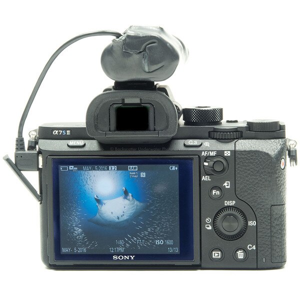 sony a7ii pack