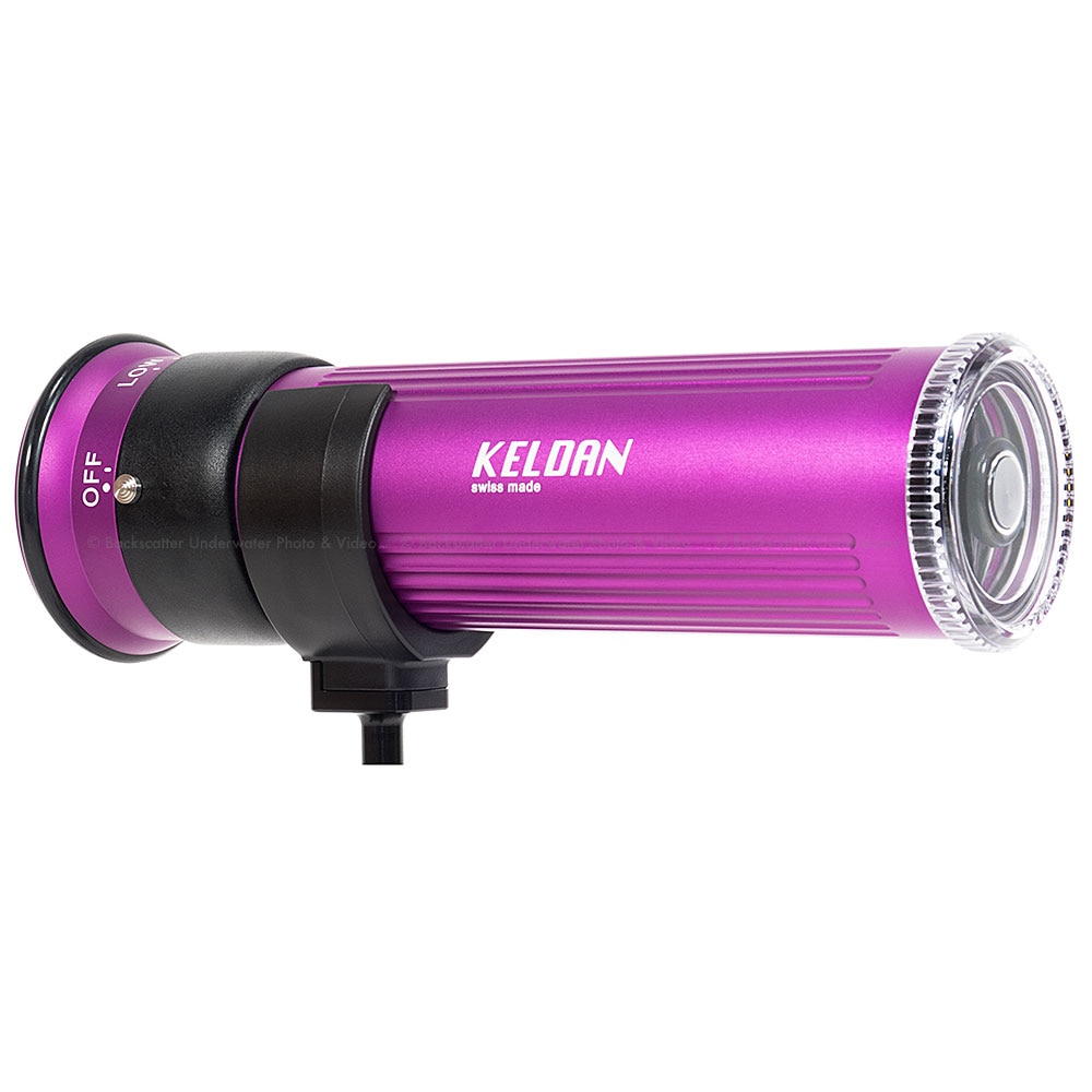 Keldan Video 8X CRI 15K Lumen Underwater Video Light