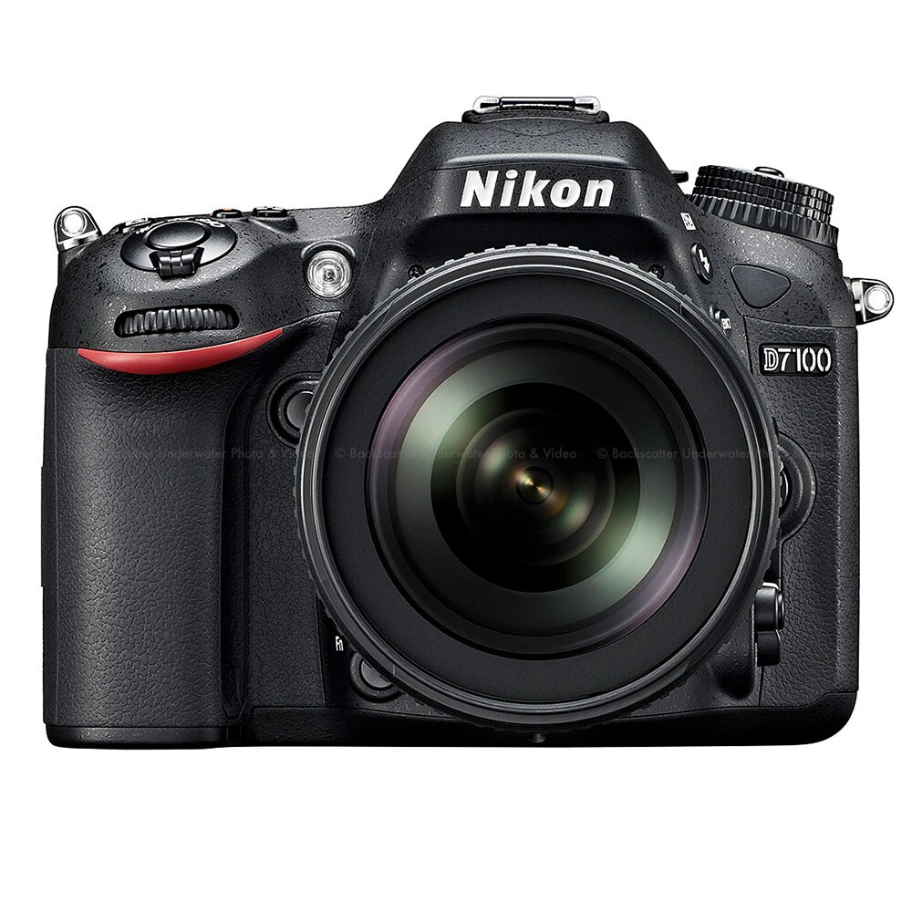 Nikon D7100 DSLR Camera
