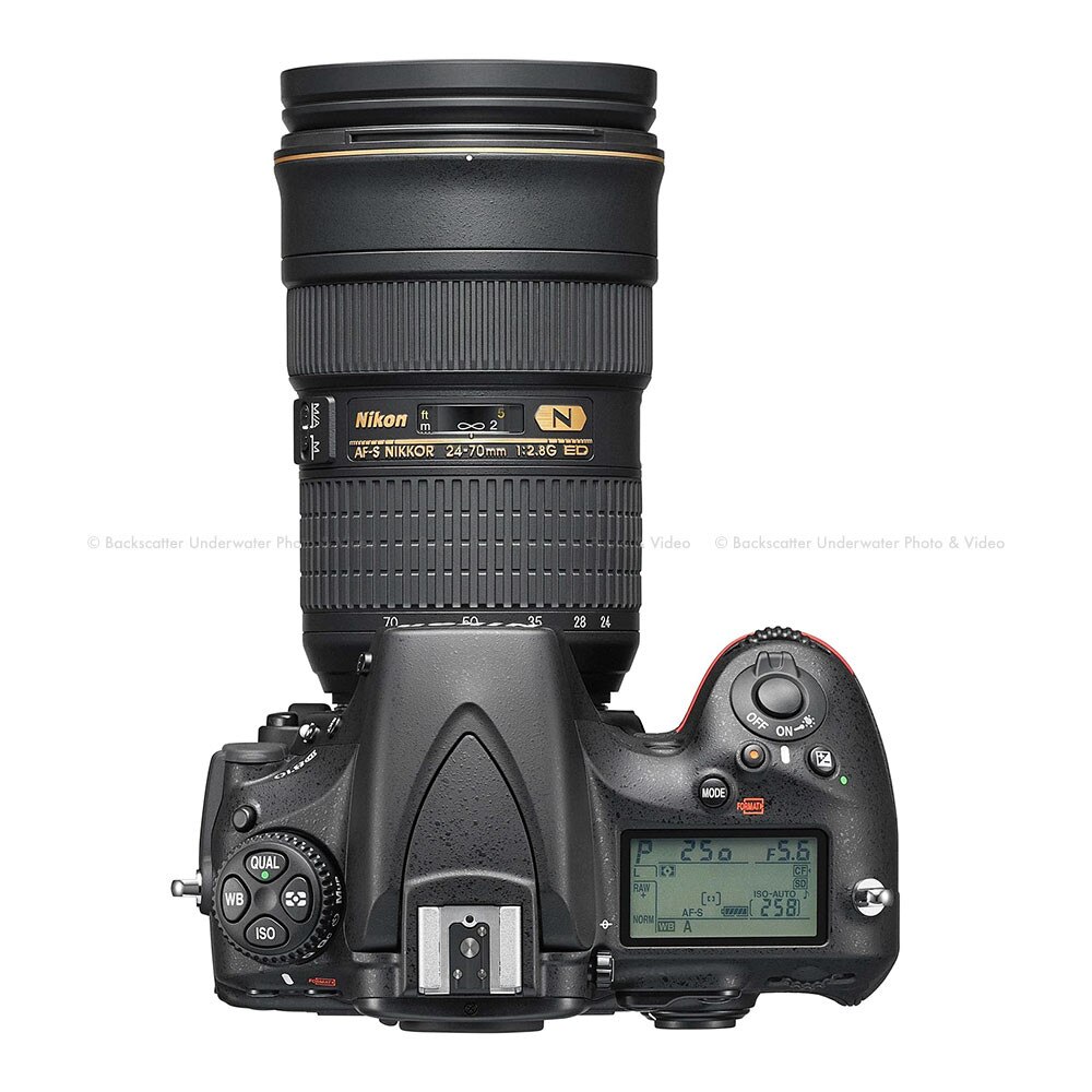 d810 body new