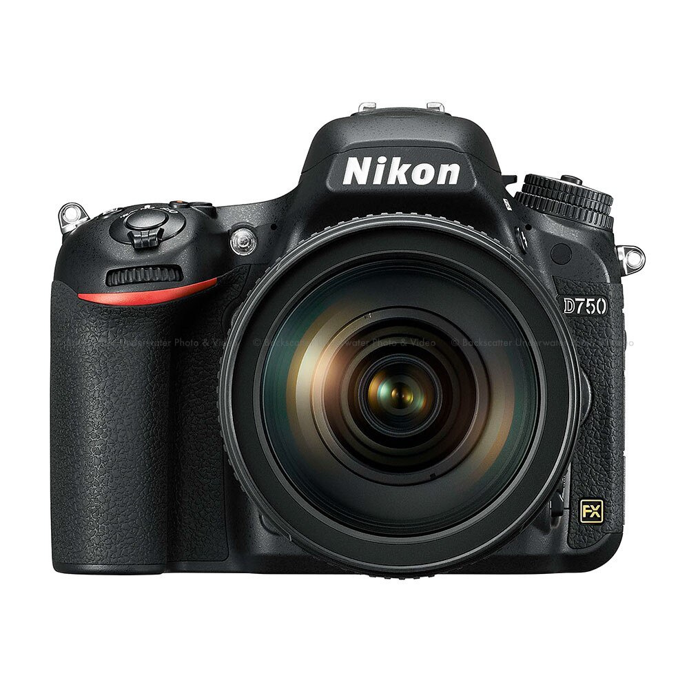 Contar Disminución Nos vemos mañana Nikon D750 FX Full-Frame DSLR Camera Body