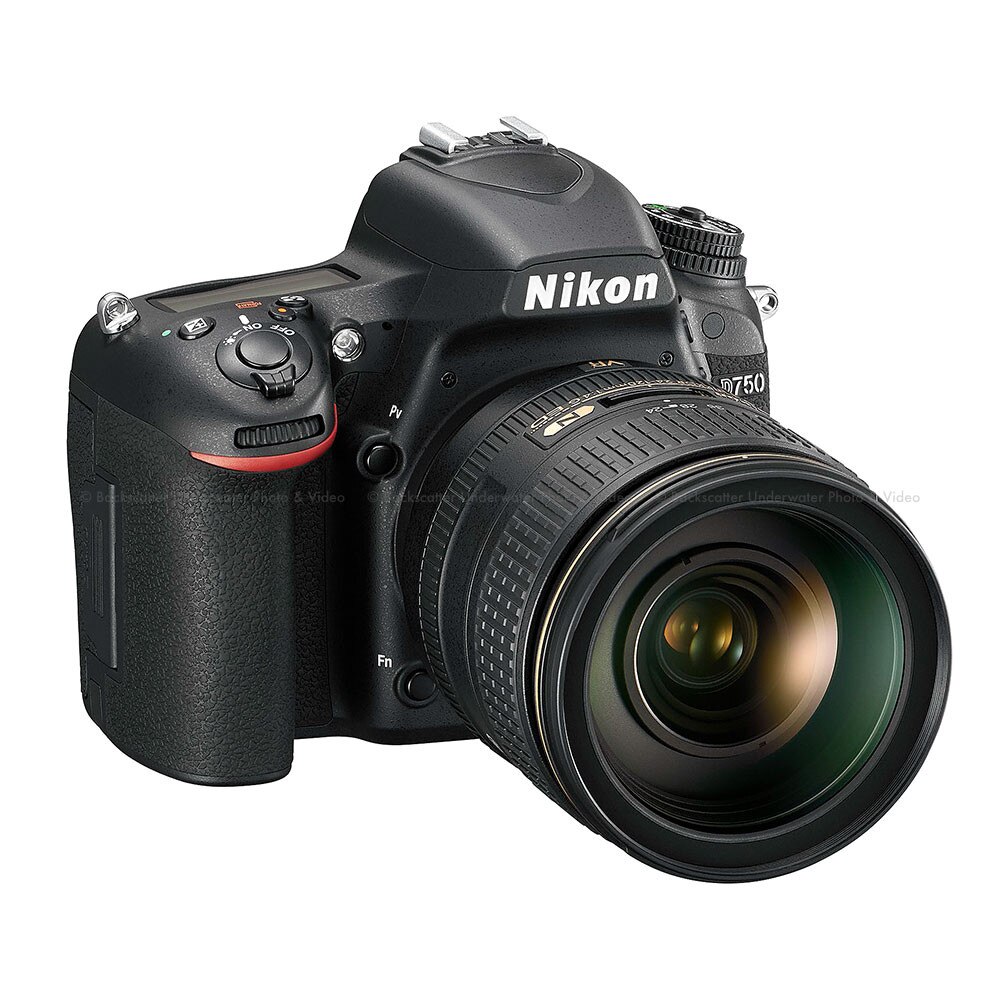 d750 camara