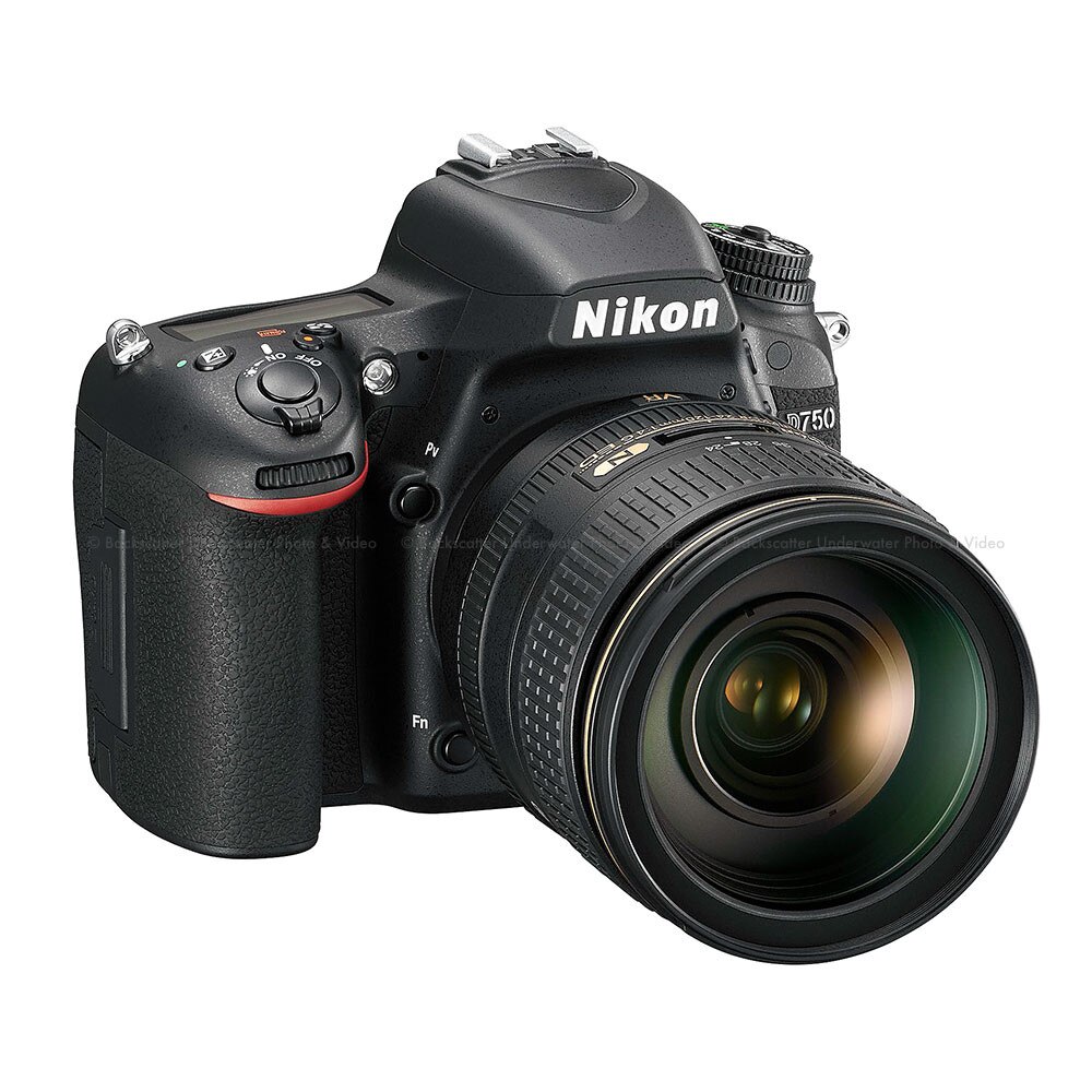 Nikon D750 24.3 MP Digital SLR Camera - Black (Body Only) for sale online