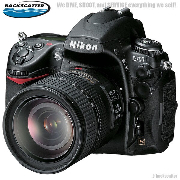 nikon fe2 for sale