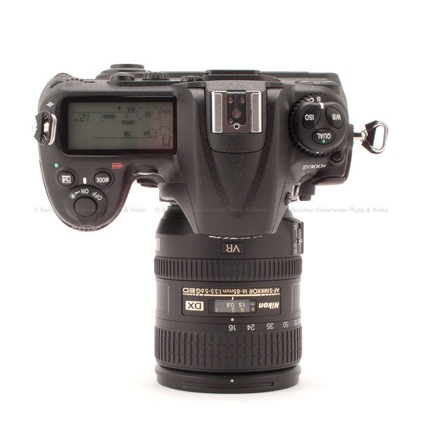 nikon d300 camera body