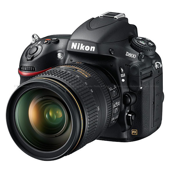 Nikon D800 Digital SLR Camera