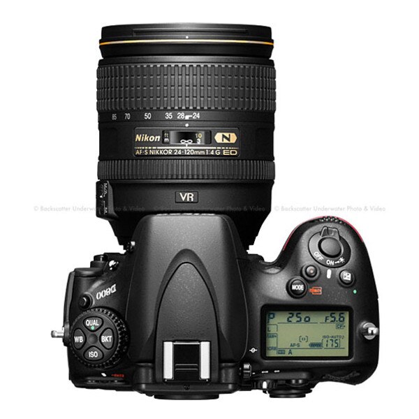 nikon d800 price