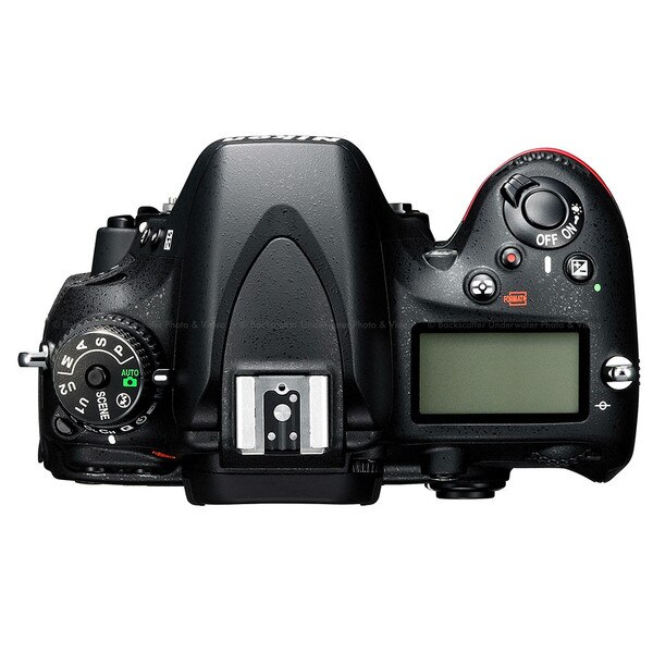 nikon d600 series