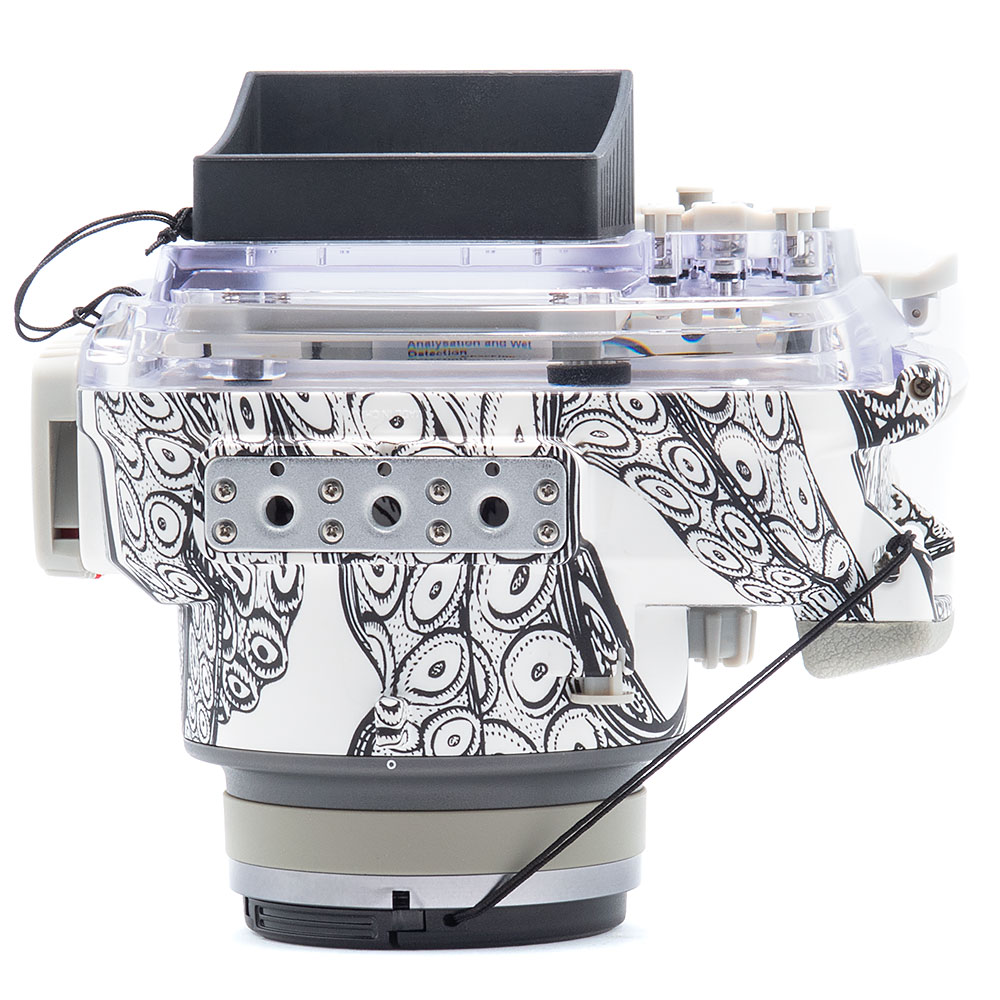 Olympus PEN E-PL10 Camera & 14-42mm EZ Lens Kit with Backscatter