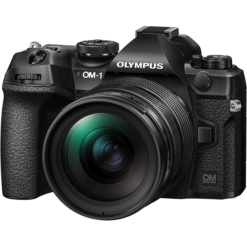 pro mirrorless camera