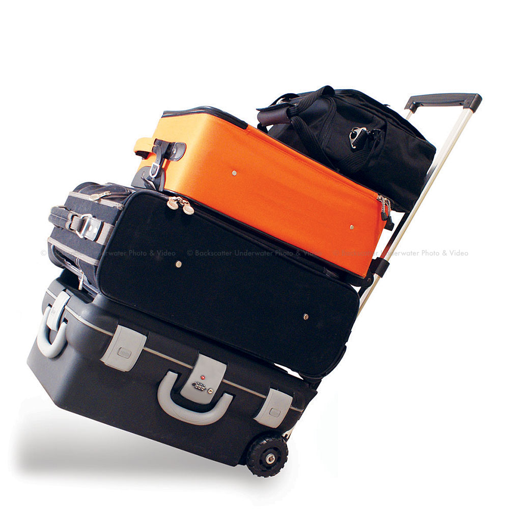 Porter Case PCi Deluxe Camera Divider w CART