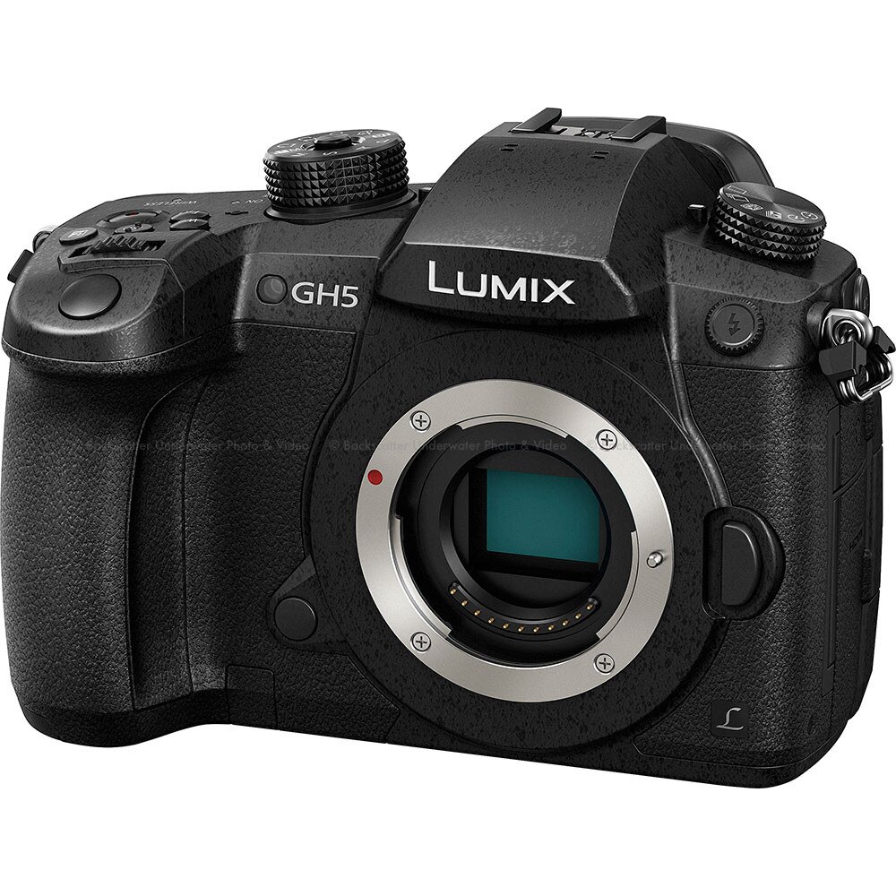 Panasonic LUMIX DMC-GH5 4/3 Mirrorless Camera