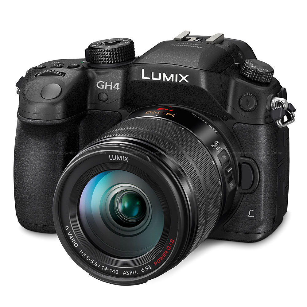 Panasonic LUMIX DMC-GH4K Pro Photo Performance Camera Body with 4K  Cinematic Video