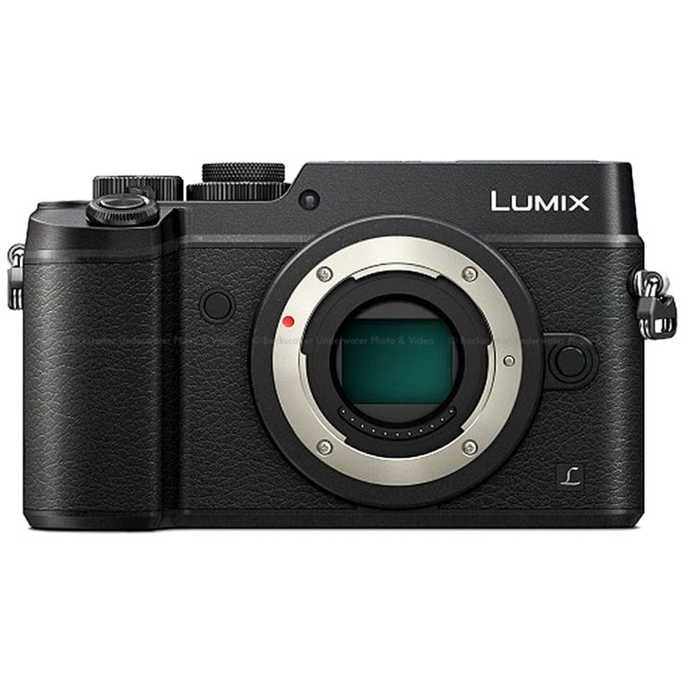 Microprocessor Leidinggevende Emigreren Panasonic LUMIX GX8 Mirrorless Micro 4/3 Camera - Black Body Only