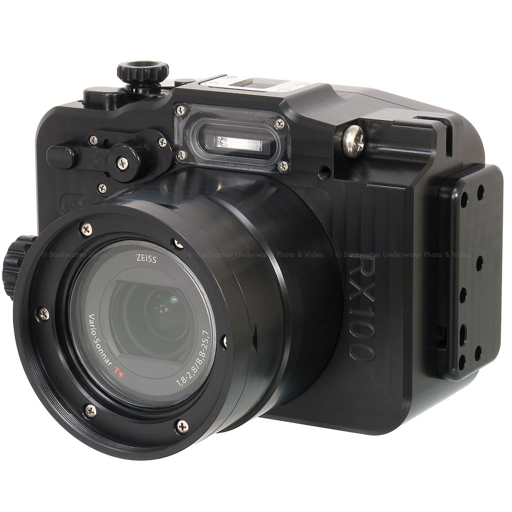 criticus indruk oriëntatie Recsea CWS-RX100IV Underwater Housing for SONY Cyber-shot DSC-RX100 IV 4K  Compact Camera