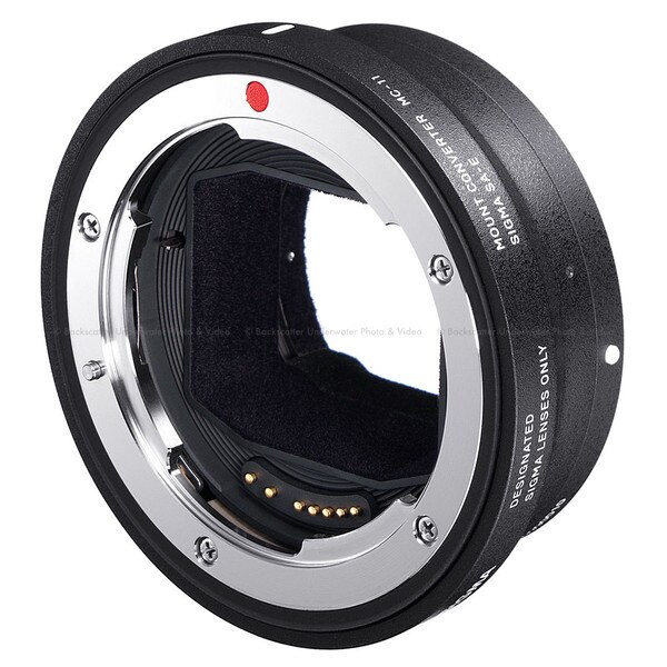 mount canon to sony