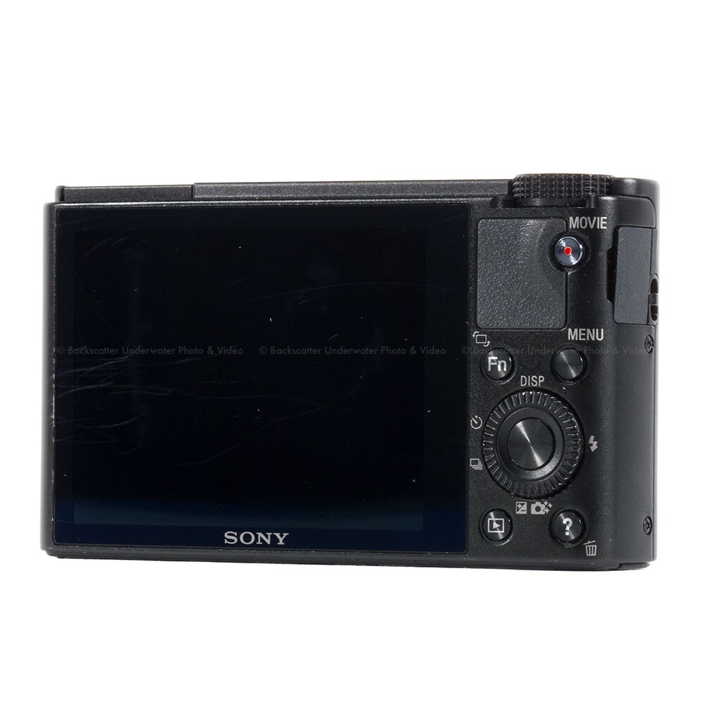 Sony Cyber-shot Digital Camera DSC-RX100