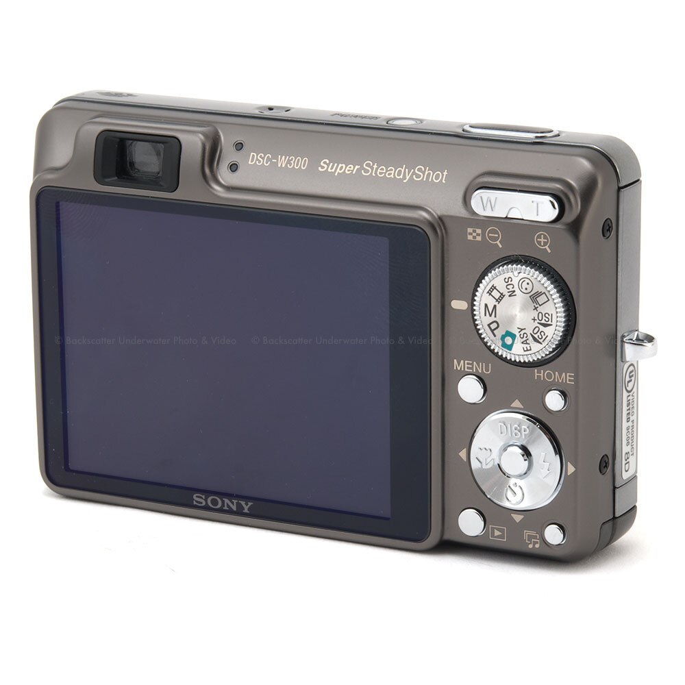 Sony DSCW300 Digital Camera