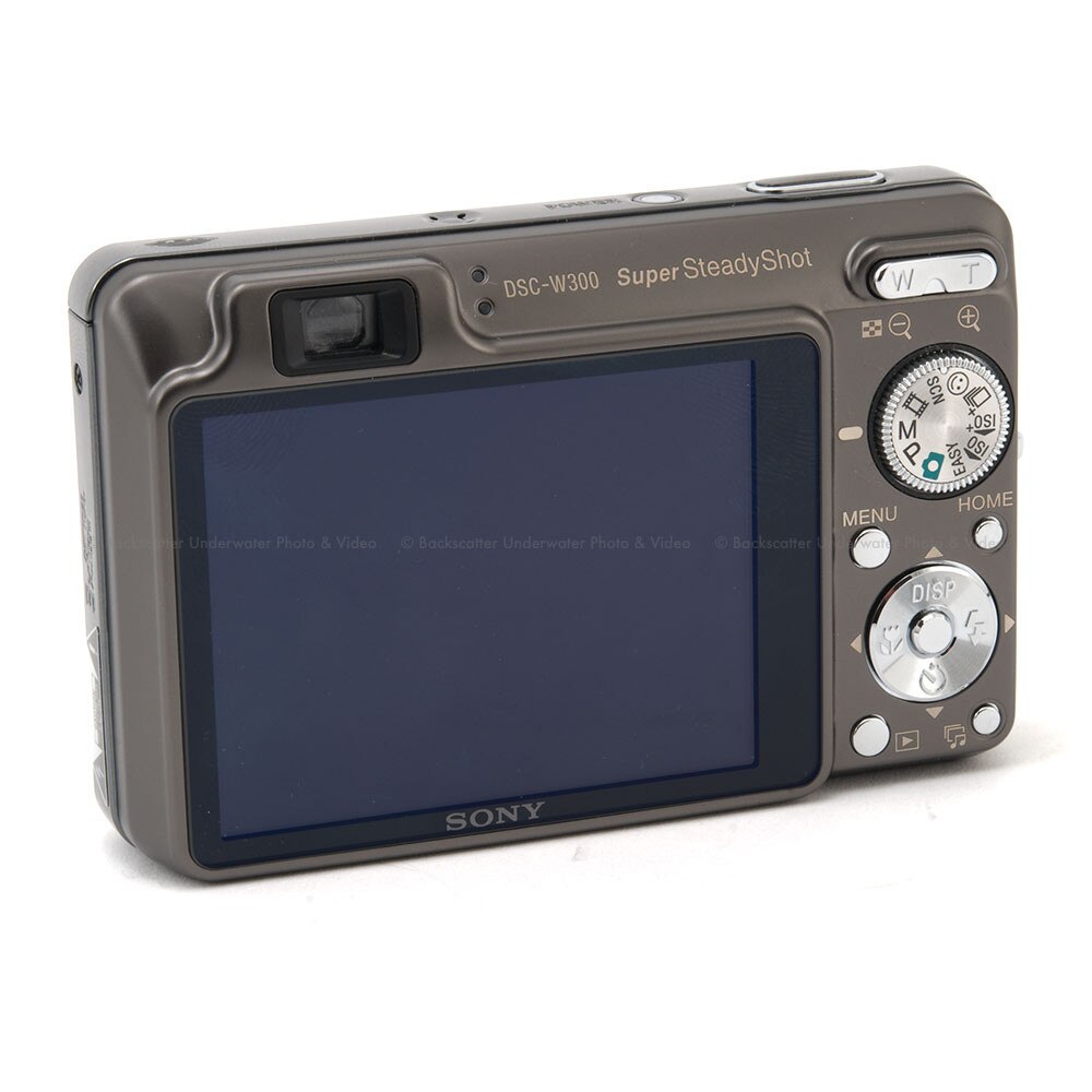 Sony DSCW300 Digital Camera